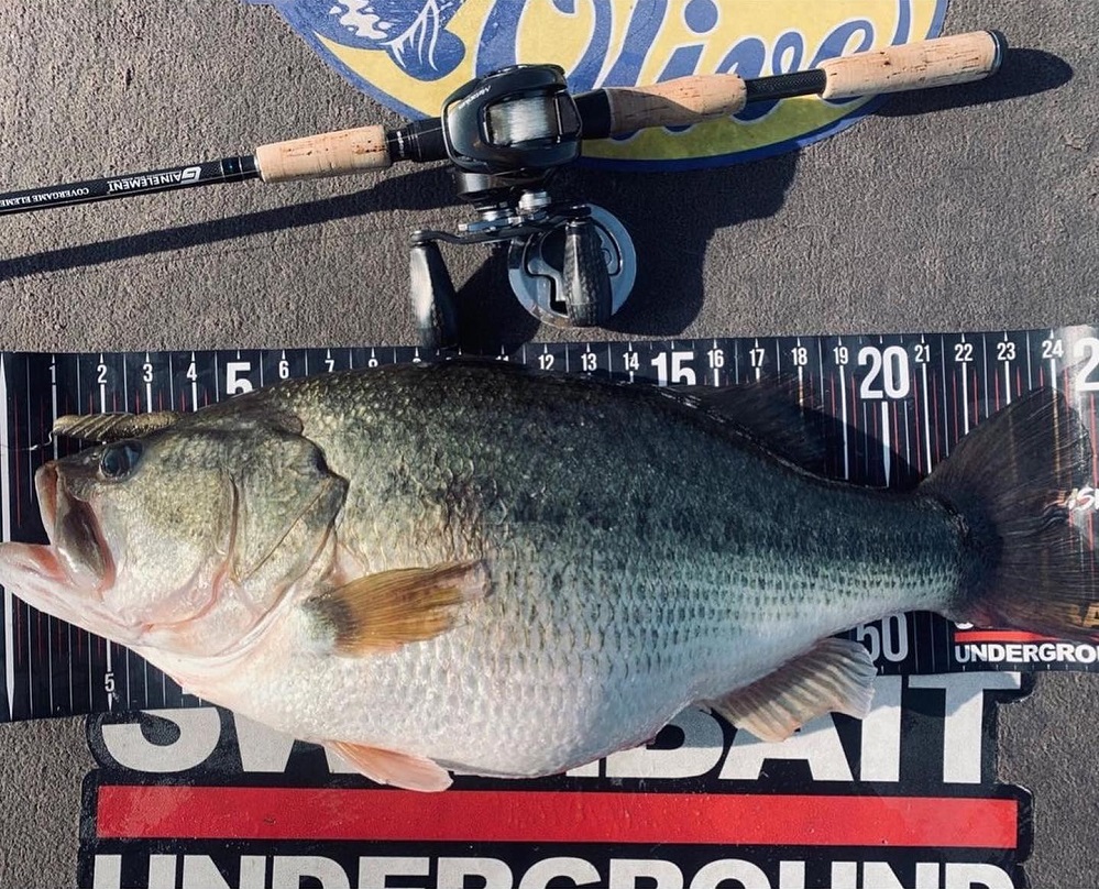 Japan's Continuing Influence on American Bass Fishing