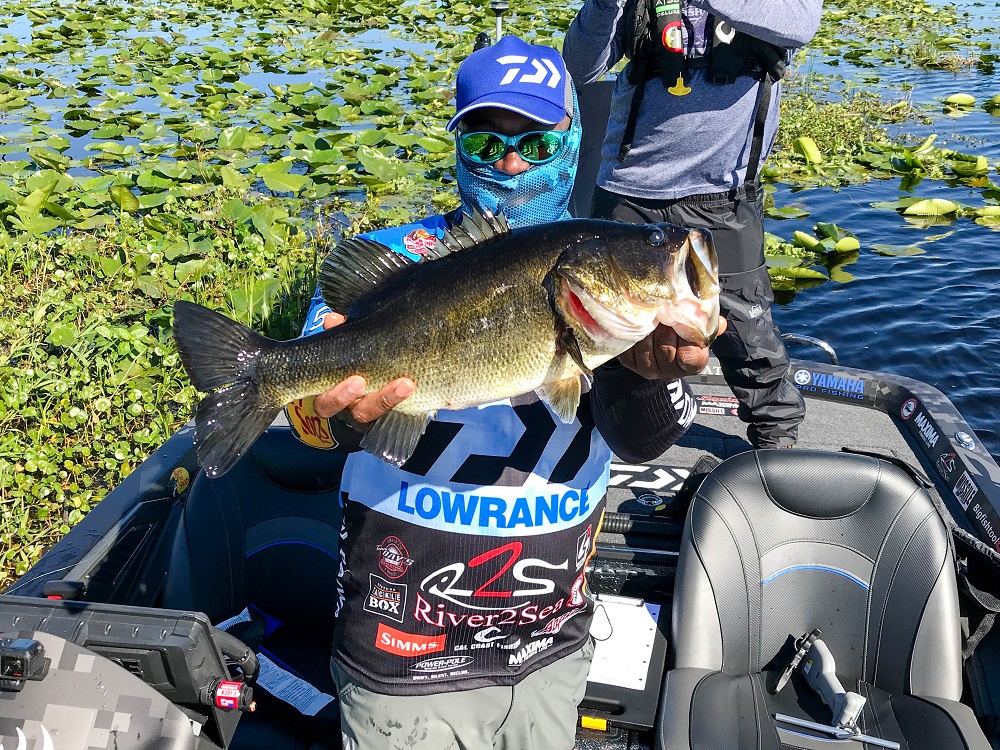 5 Ways MLF is Different than the Elite Series