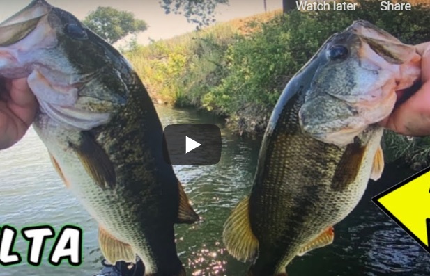 DELTA FISHING Kreuz Wirbel Kreuzwirbel Brüniert Gr.2 10St. 