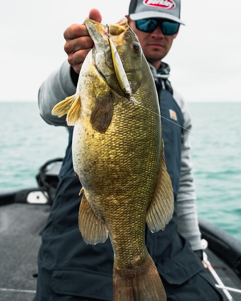 https://www.westernbass.com/shared/managedfiles/articles/images/designed_in_conjunction_with_back_to_back_bassmaster_classic_champion_and_jerkbait_expert_hank_cherry.jpg