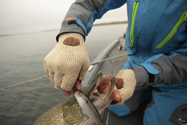 Ensure peak fishing performance through the winter with Fish Monkey