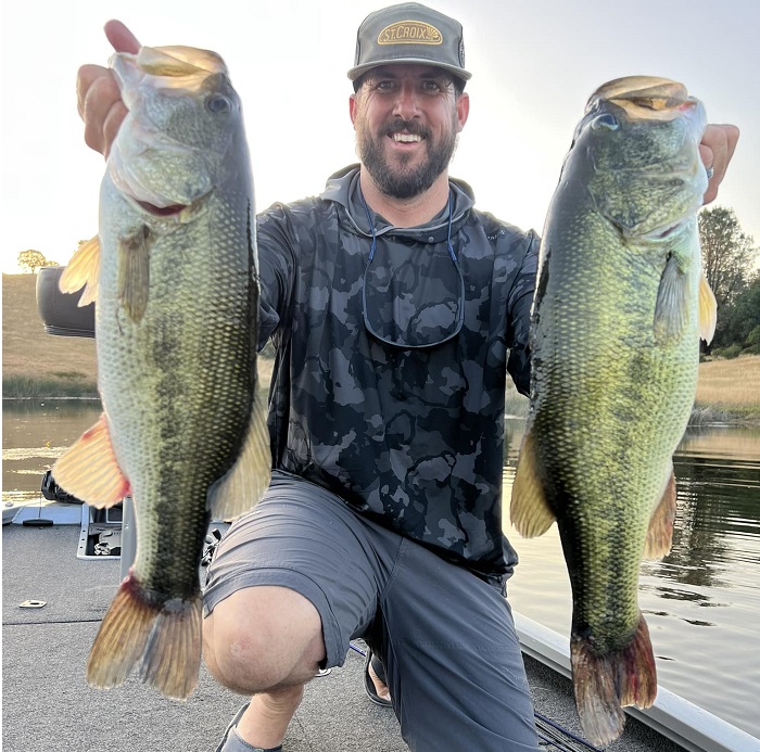 Big Baits in the Transition