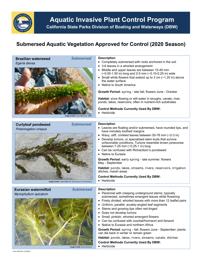 Herbicide treatment of submersed aquatic vegetation