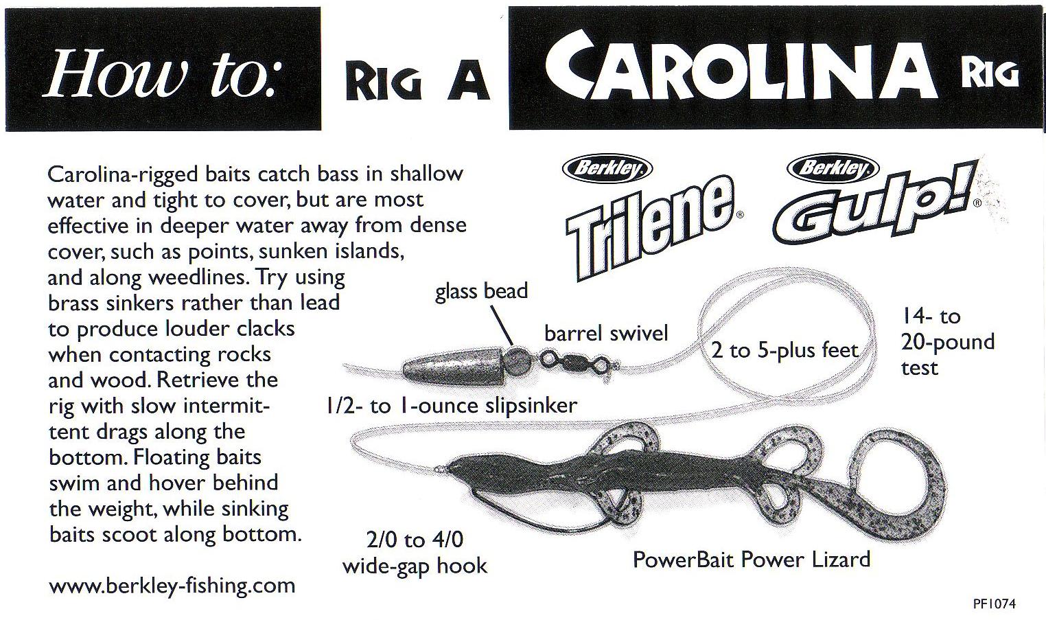 How To Setup A Carolina Rig? Setup Guide & Tips - Bass N Edge