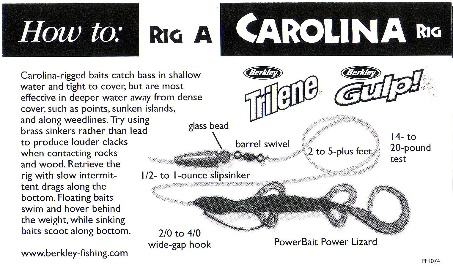 Carolina Rig for Post Spawn Bass