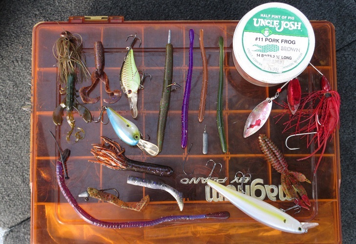 How To Fish Havasu In Spring