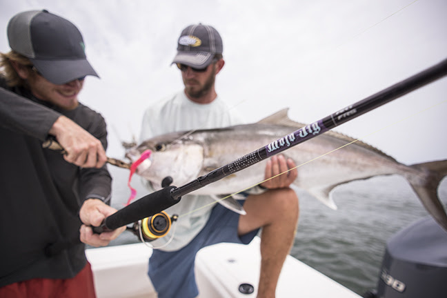 Mojo salt spinning rods clearance