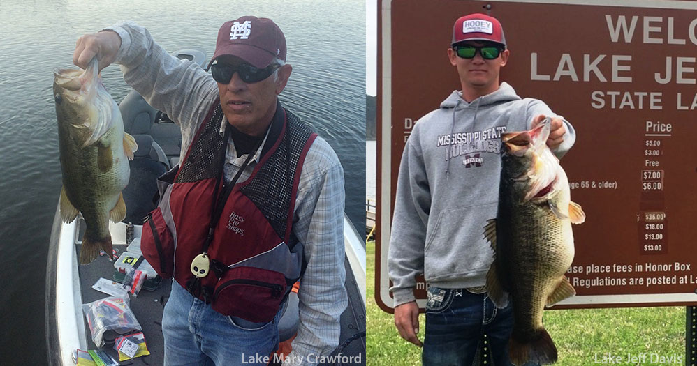 Not one; but two largemouth record bass caught 