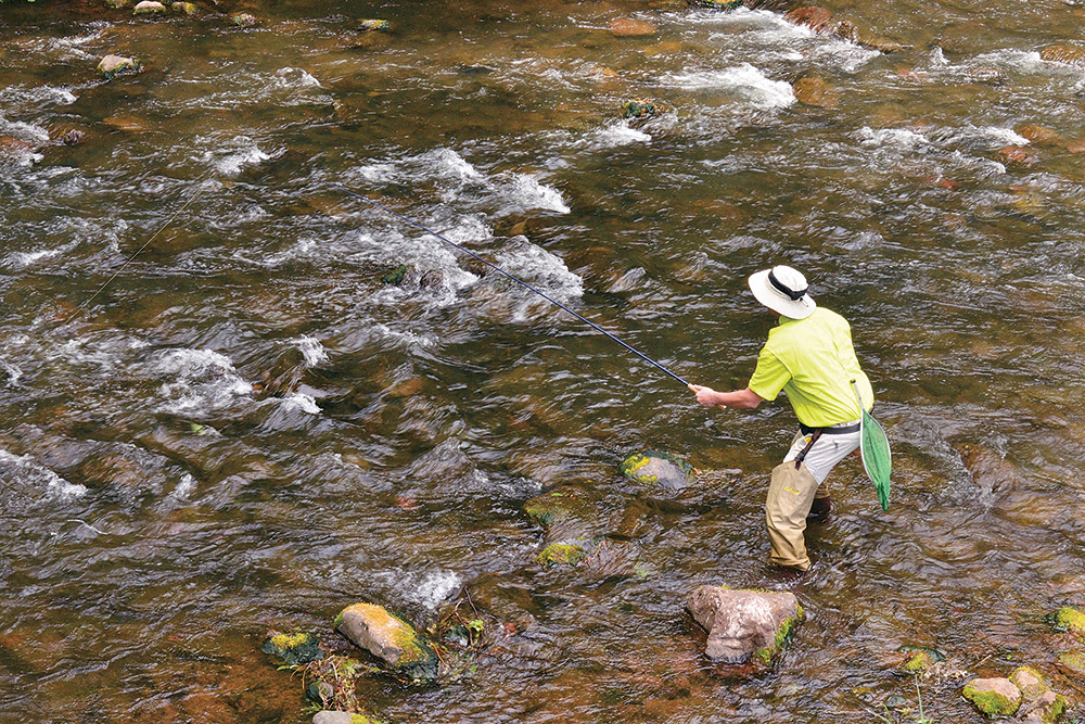 Public input on proposed changes to 202324 Arizona fishing regulations