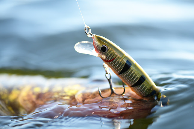 Premium Stickbait for Walleye Trolling