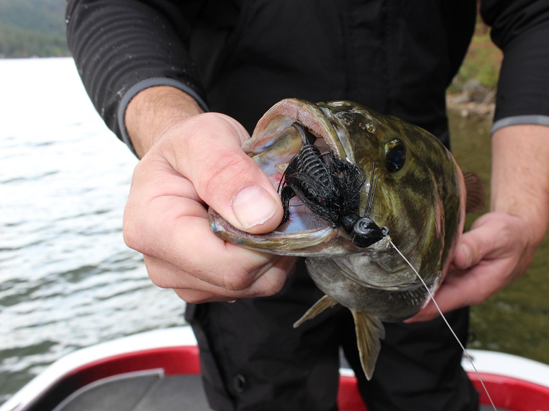 Hair Jigs for Smallmouth: When, Where and How