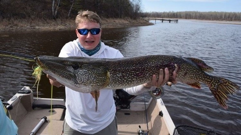 pike northern record state catch mn cities matthew rainy release river twin teen breaks swanson caught westernbass angler sets kare11