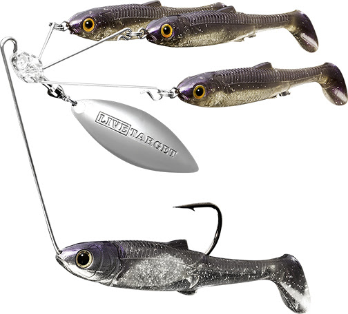 live target bait ball