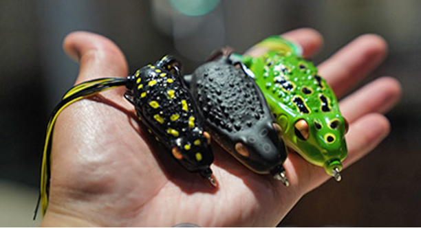 scum frog launch frog