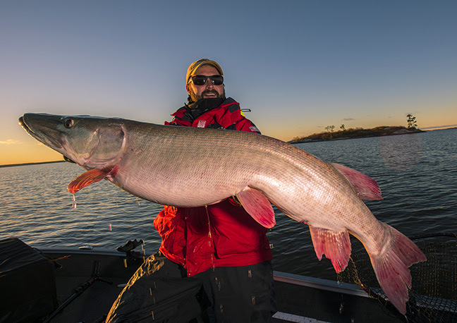https://www.westernbass.com/shared/managedfiles/articles/images/three_new_legend_tournament_musky_rods_designed_to_present_smaller_baits_to_big_fish.jpg