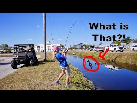 11 Year Old Catches a GIANT Bass and a Super WEIRD Fish
