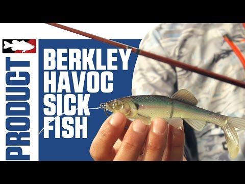 Berkley Havoc Skeet's Sick Fish Swimbait with Justin Lucas