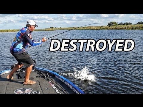 Big Bass Crushes Swimbait - Most in-depth how to video on