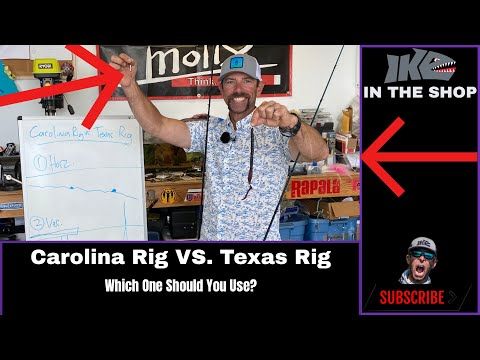 C-Rig or Texas-Rig Here's the Answer