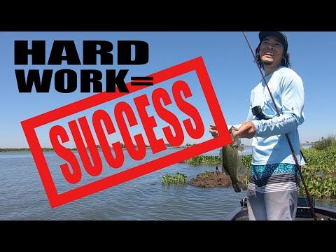 California Delta Hard Work Bass Fishing Searching for Success