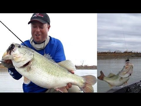 Flipping a 10 lb bass into the boat