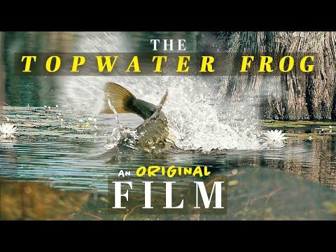 Roots of the Topwater Frog: A Fishing Film ft Bobby Barrack