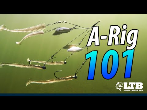 Tackle How To A Rig 101 LTB